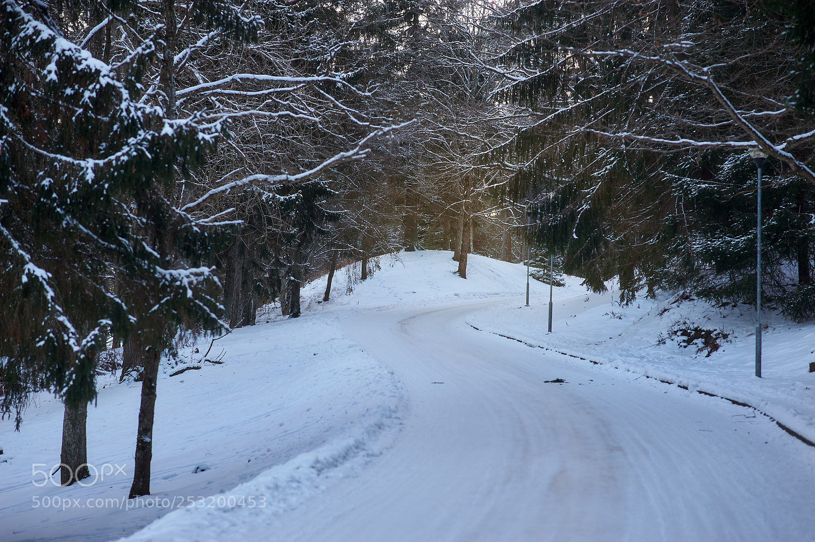 Nikon D3 sample photo. Snow photography