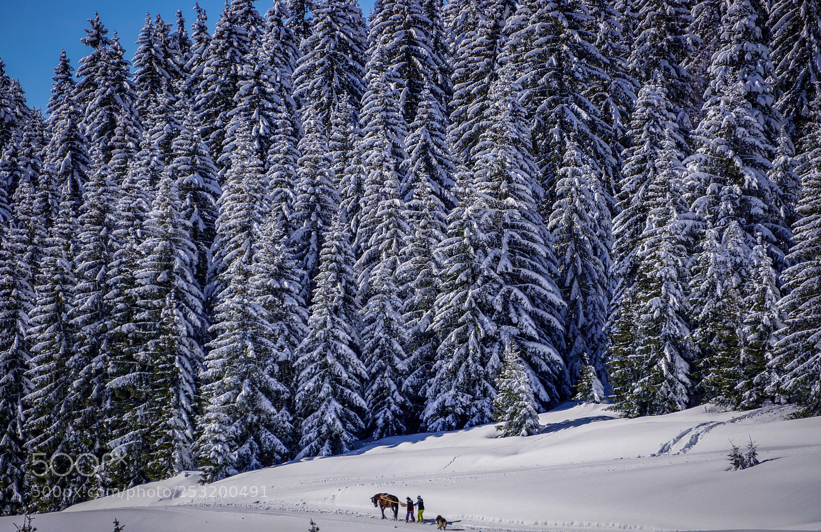 Sony a6000 sample photo. Ski joering - les photography