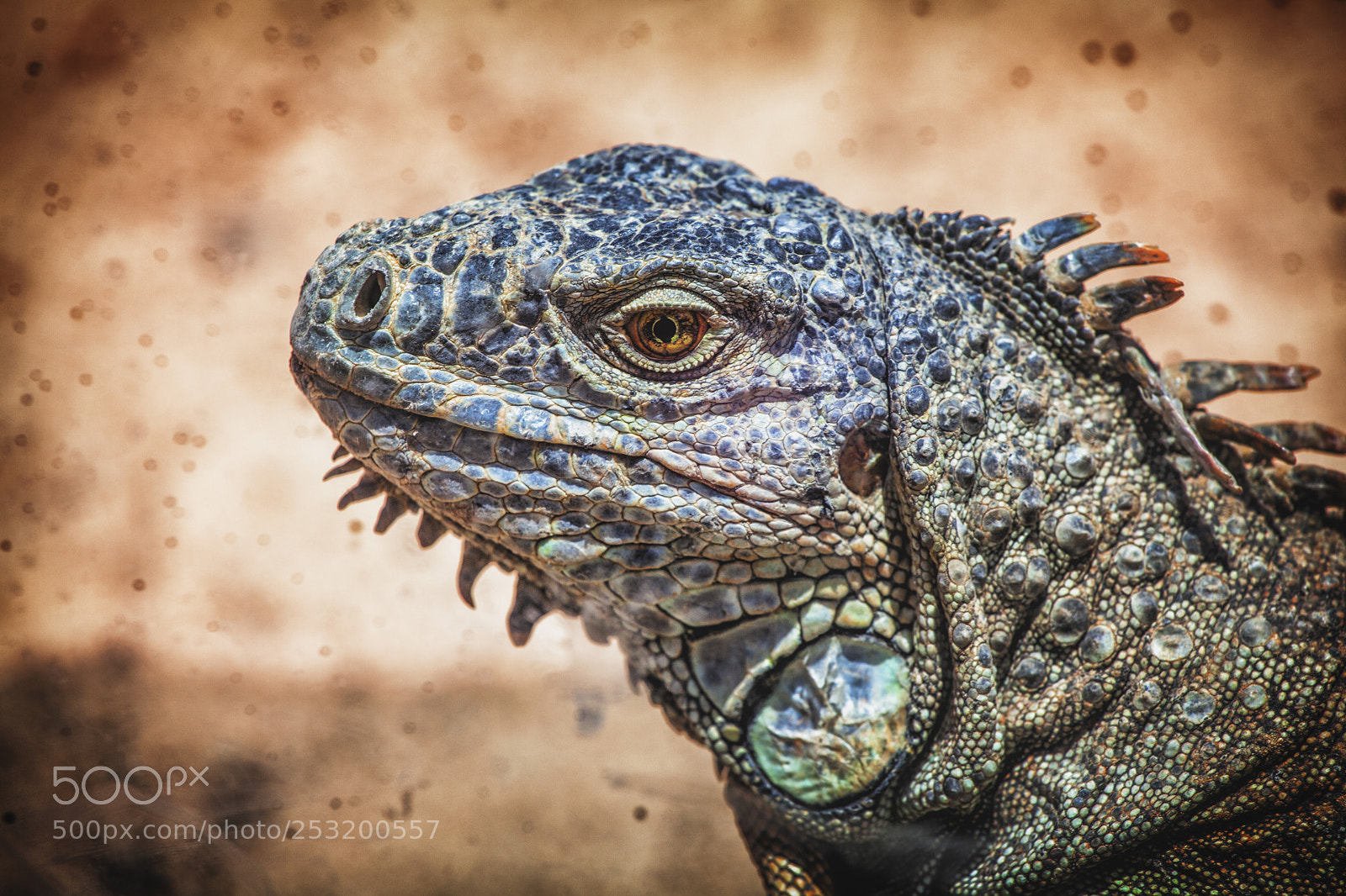 Canon EOS 5D Mark II sample photo. Dino-time photography