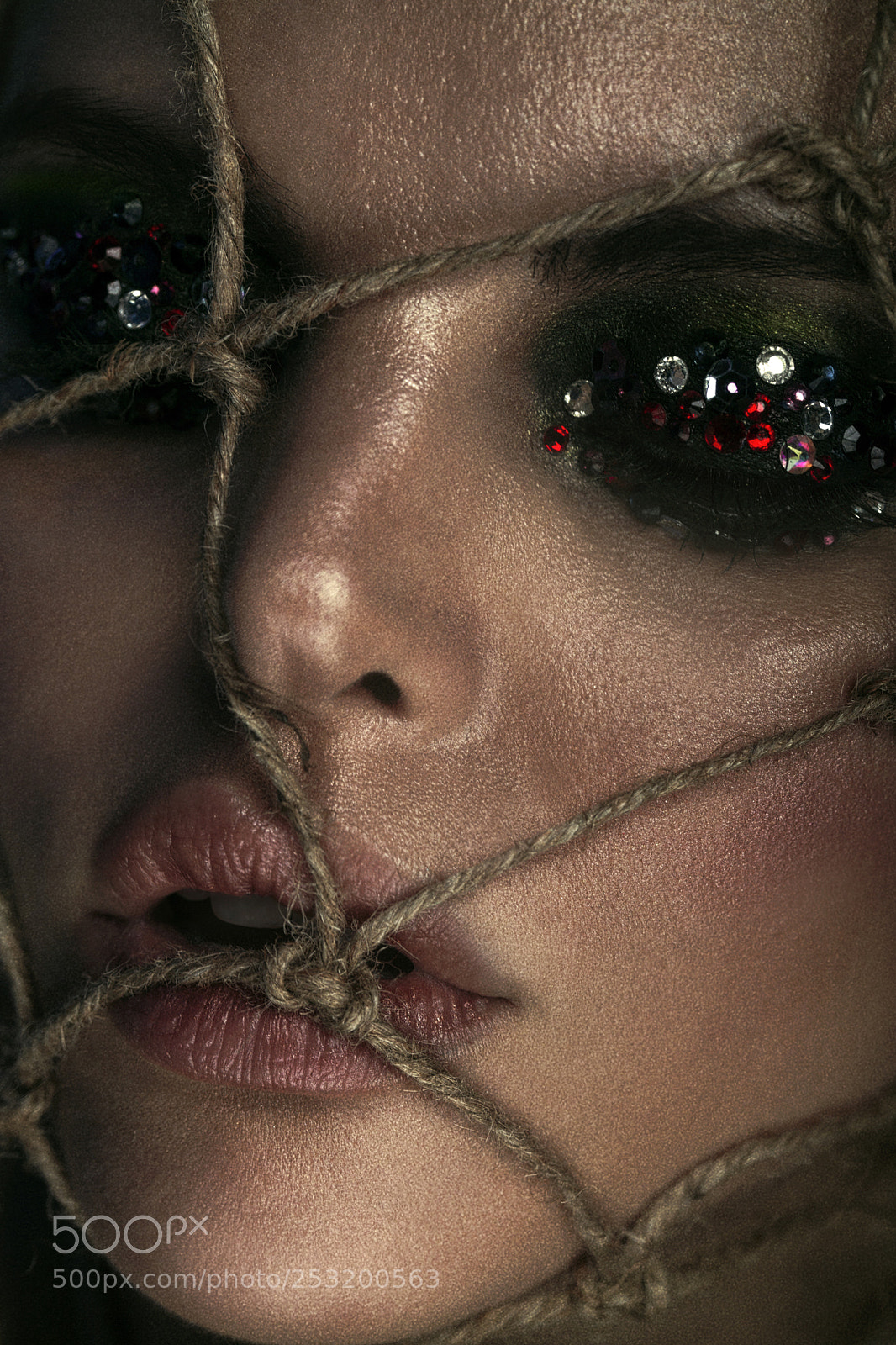 Canon EOS 5D Mark II sample photo. Ds203 - macro glamour photography