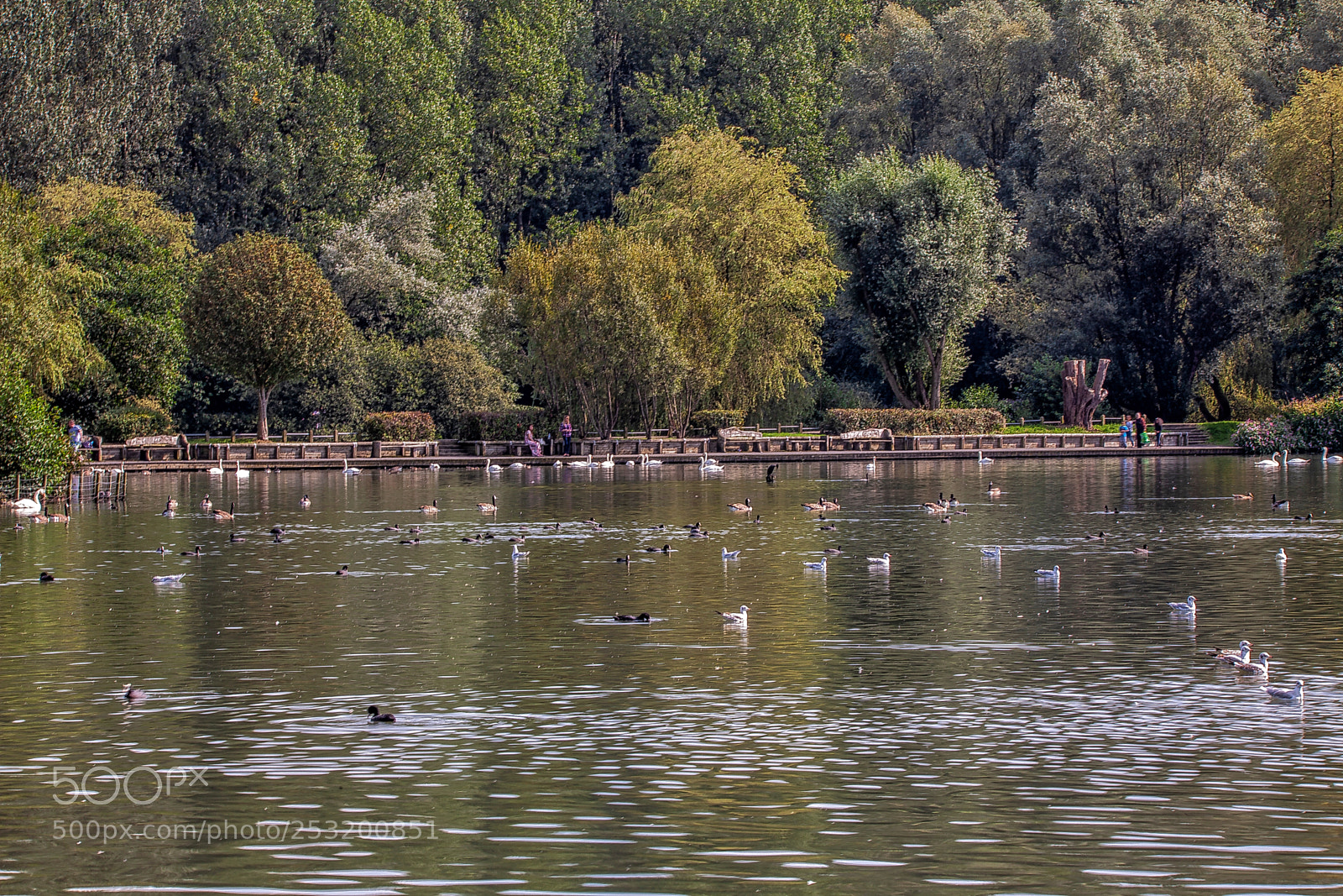 Canon EOS 5D Mark II sample photo. Lens photography