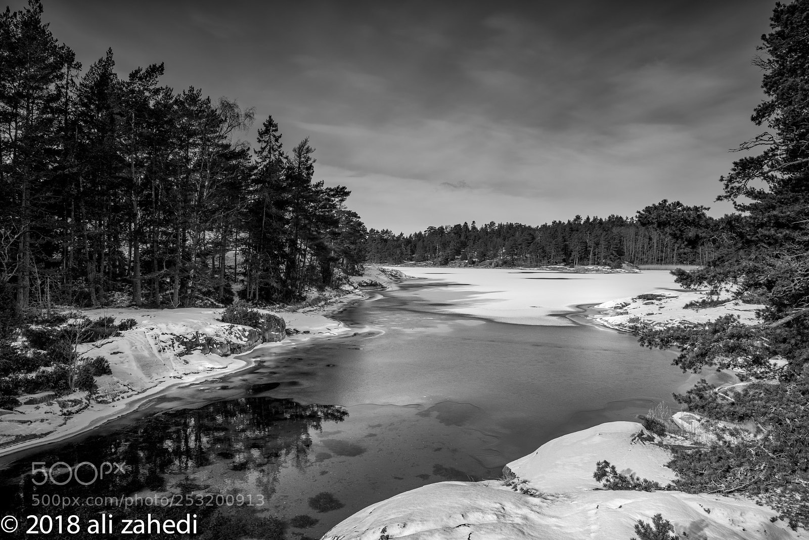 Nikon D810 sample photo. S:t b&w photography