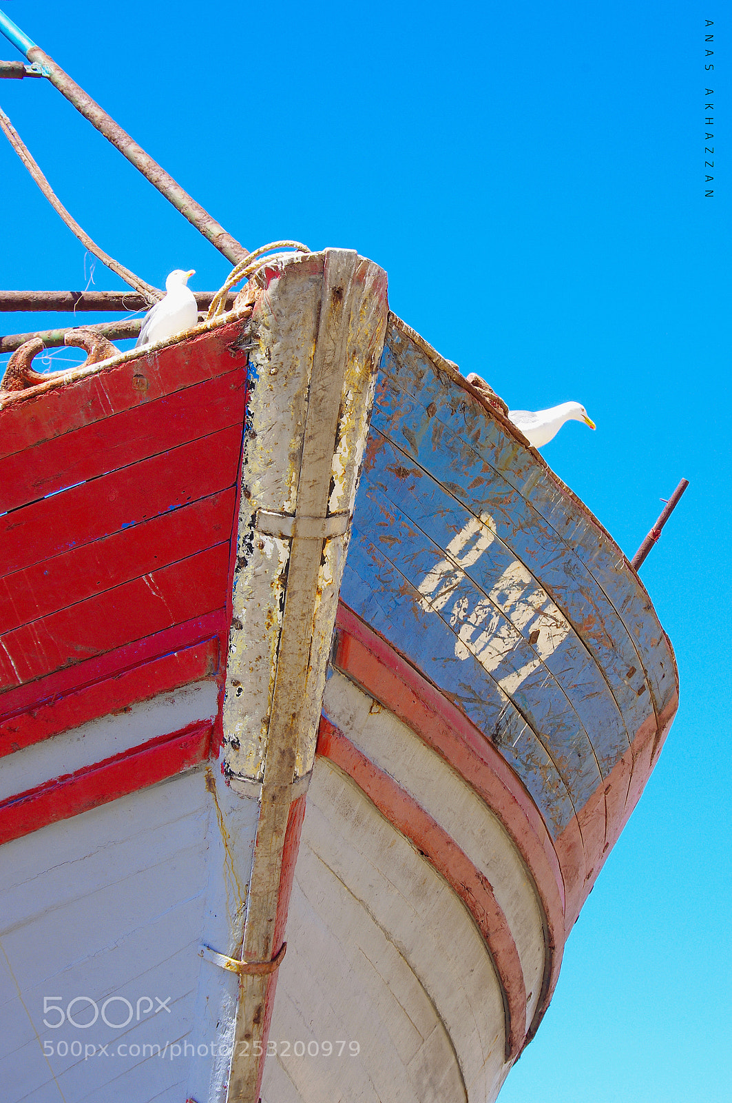 Pentax K-r sample photo. Other view photography