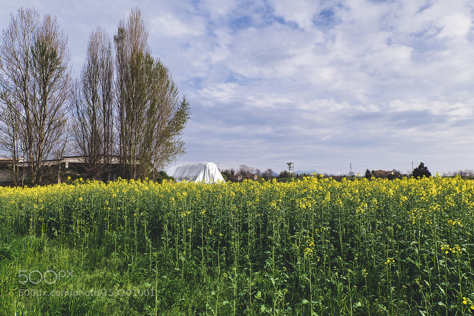 Fujifilm X-T10 sample photo. Tra i campi photography