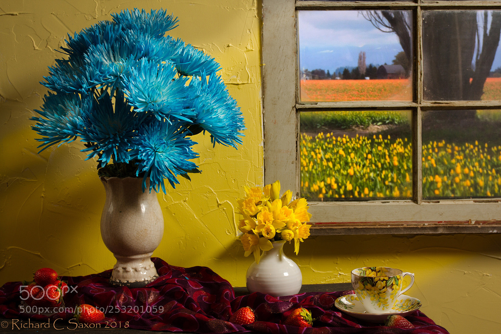 Canon EOS 60D sample photo. Strawberries and asters photography