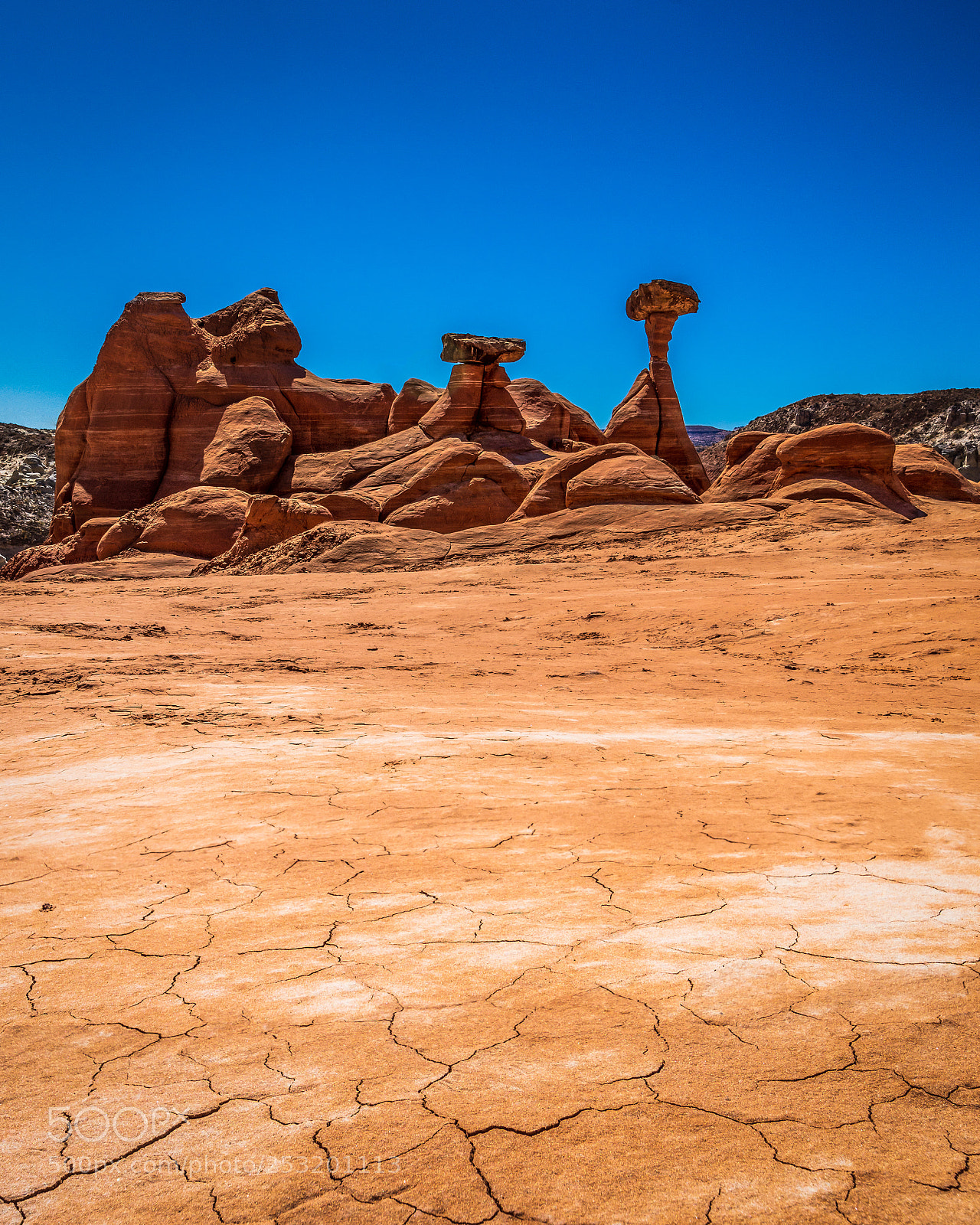 Nikon D7200 sample photo. The toadstools photography