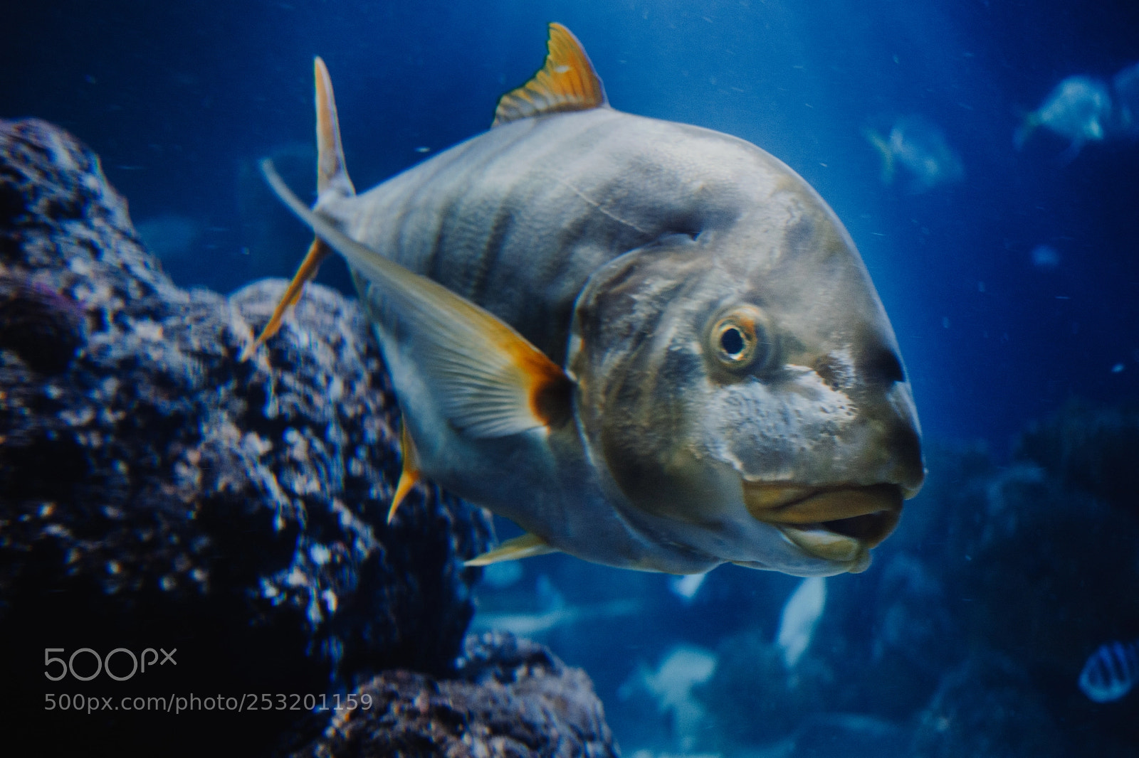 Canon EOS 77D (EOS 9000D / EOS 770D) sample photo. Untitled photography