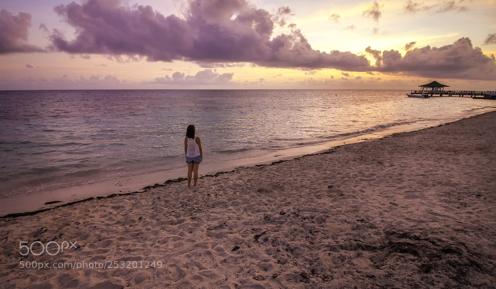 Canon EOS 70D sample photo. Violet dreaming photography