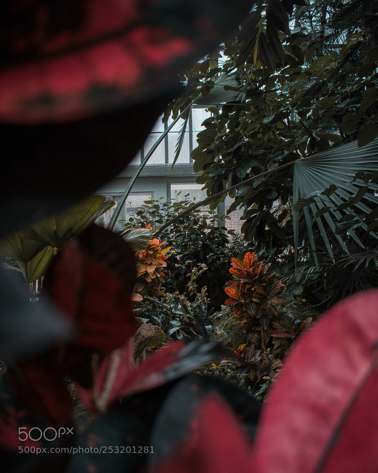 Nikon D3400 sample photo. Untitled photography