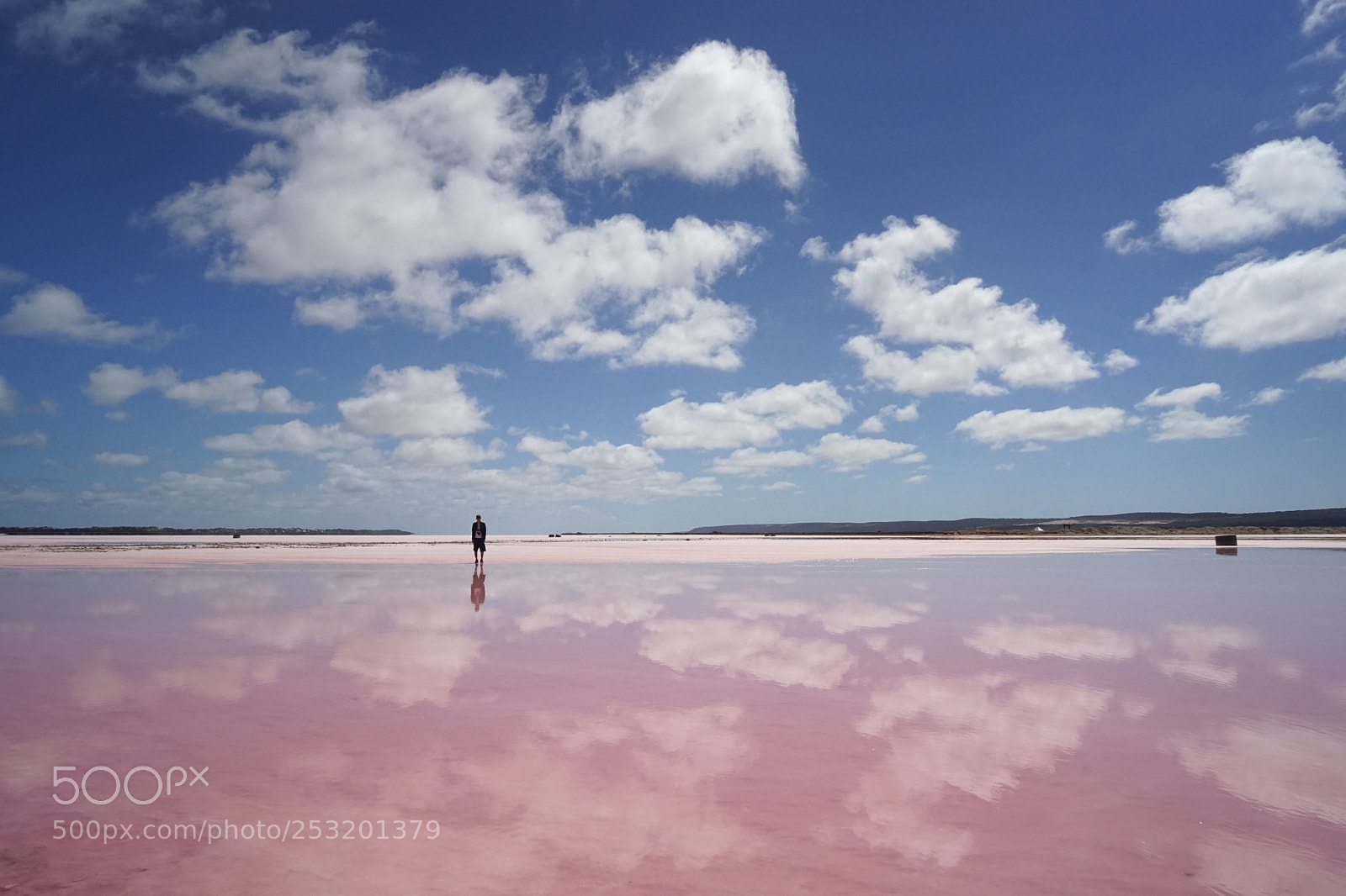 Sony a7 II sample photo. Pink lake photography