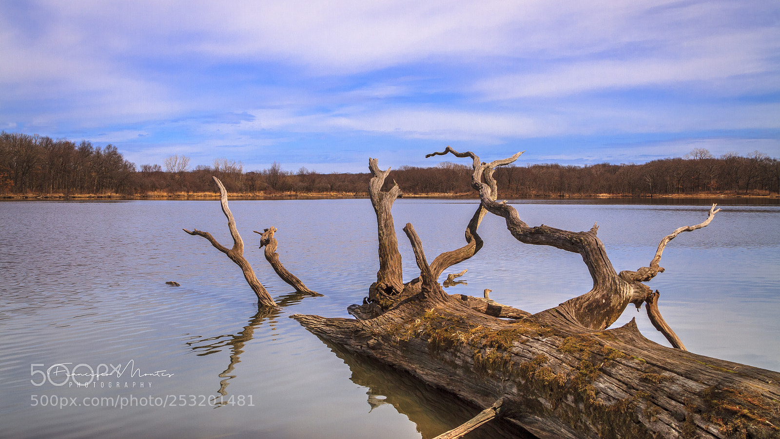 Canon EOS 7D sample photo. Beautiful afternoon photography