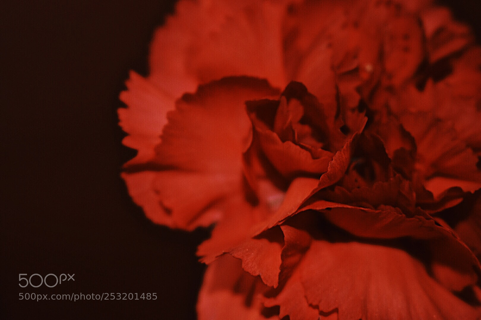 Nikon D3400 sample photo. Untitled photography