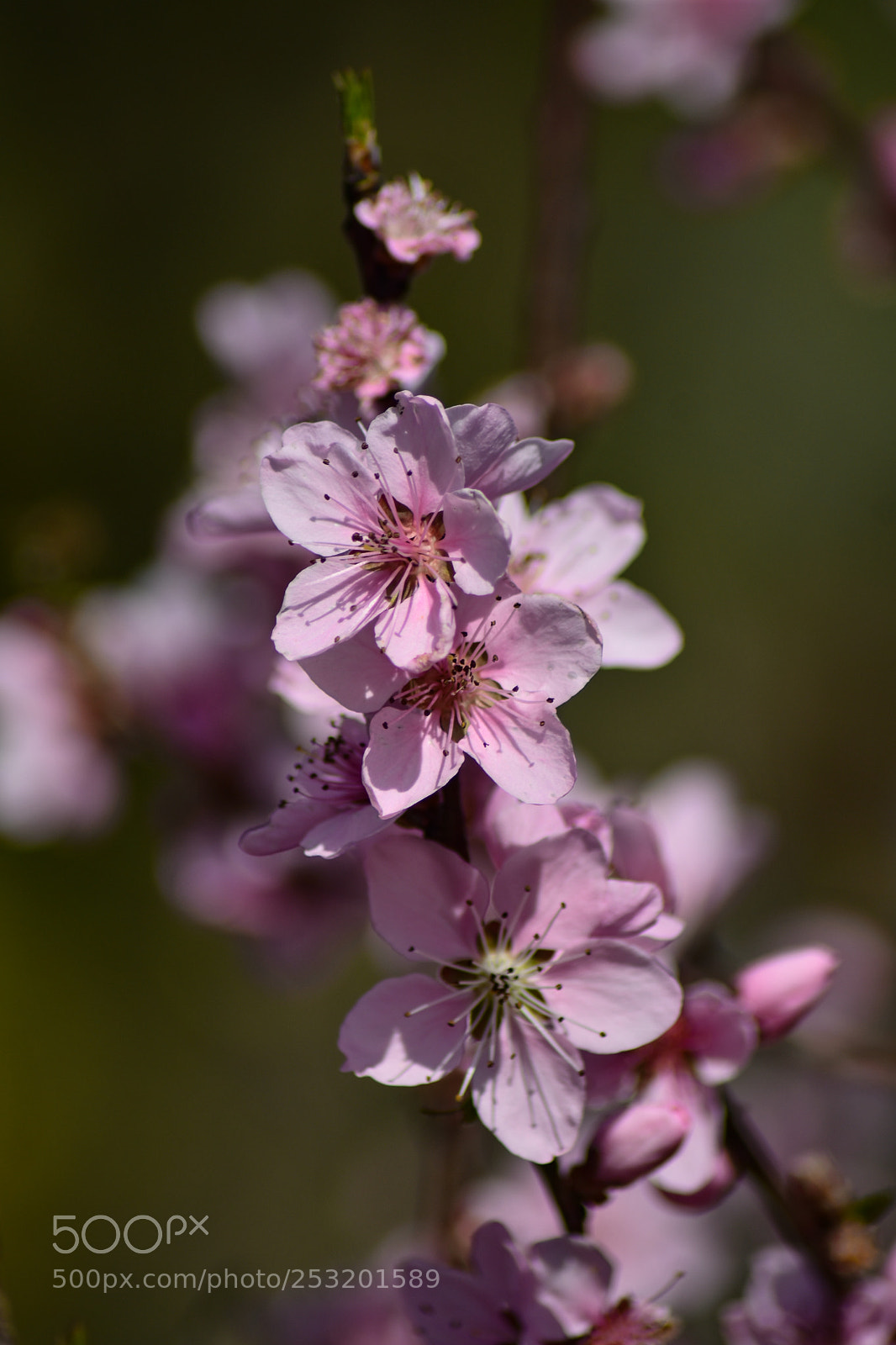 Nikon D7200 sample photo. Untitled photography