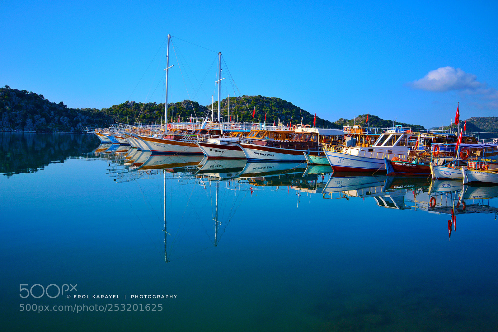 Nikon D3100 sample photo. Untitled photography