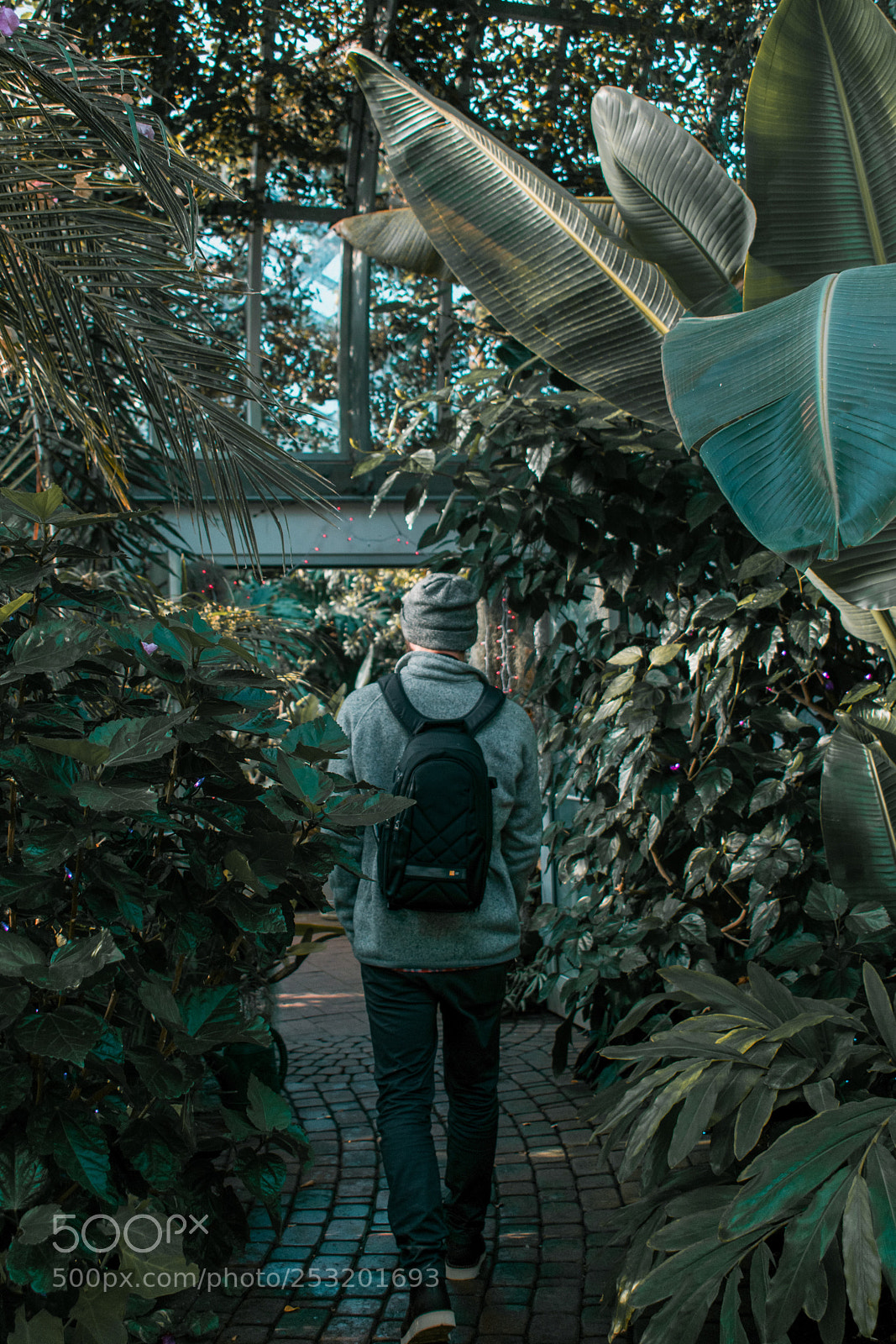 Nikon D3400 sample photo. Untitled photography