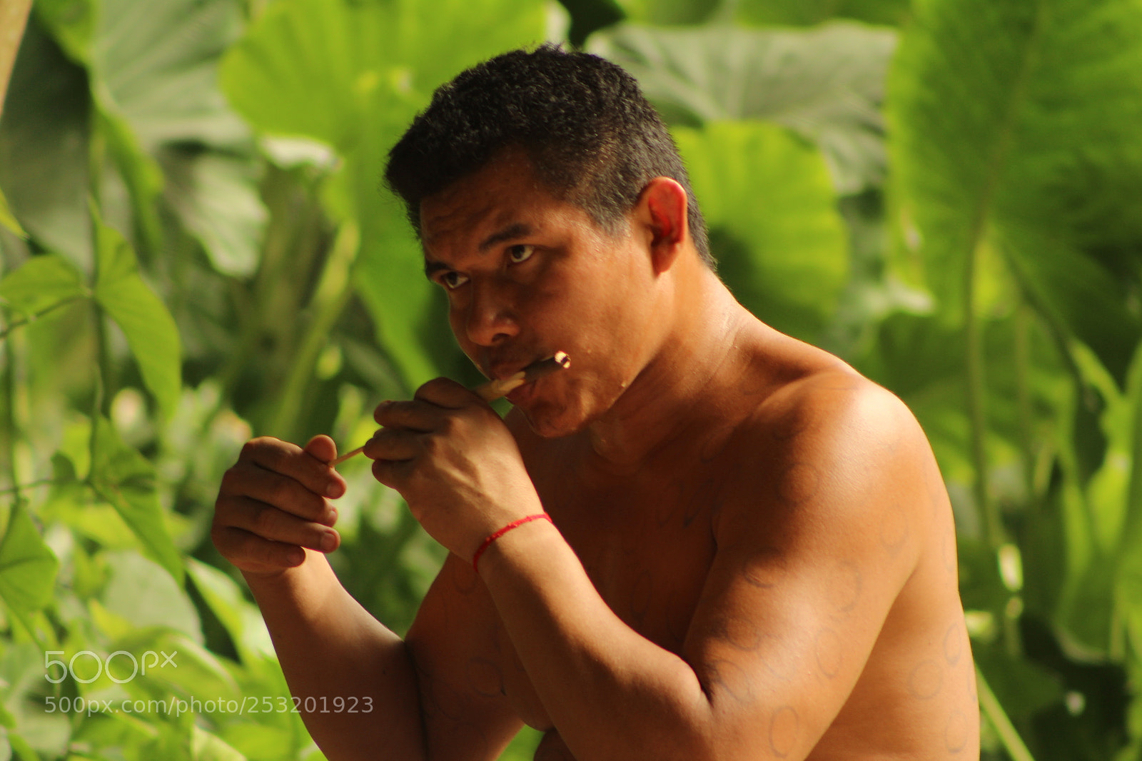 Canon EF 75-300mm f/4-5.6 sample photo. Img photography