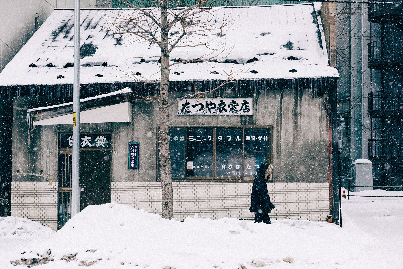 Nikon D810 sample photo. Snowfall photography