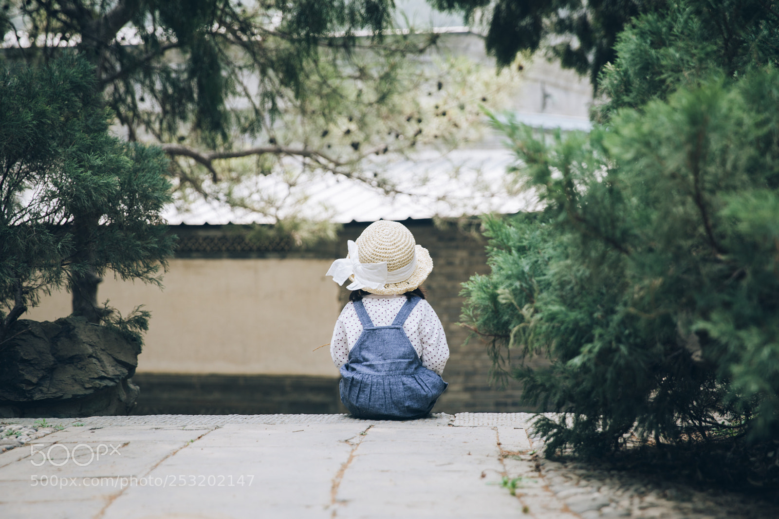 Canon EOS 5D Mark IV sample photo. Enjoy the spring photography