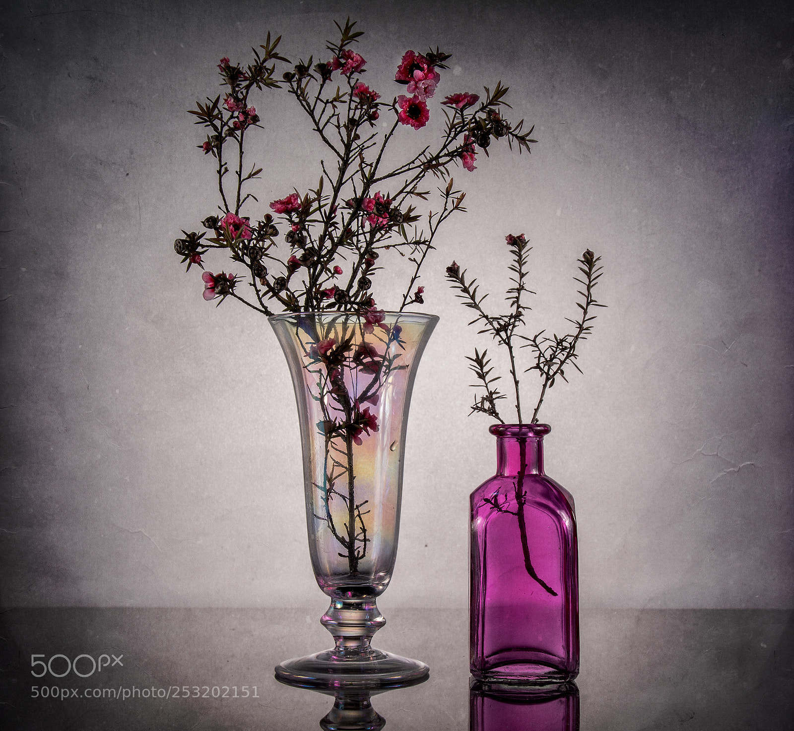 Nikon D7100 sample photo. Still life photography