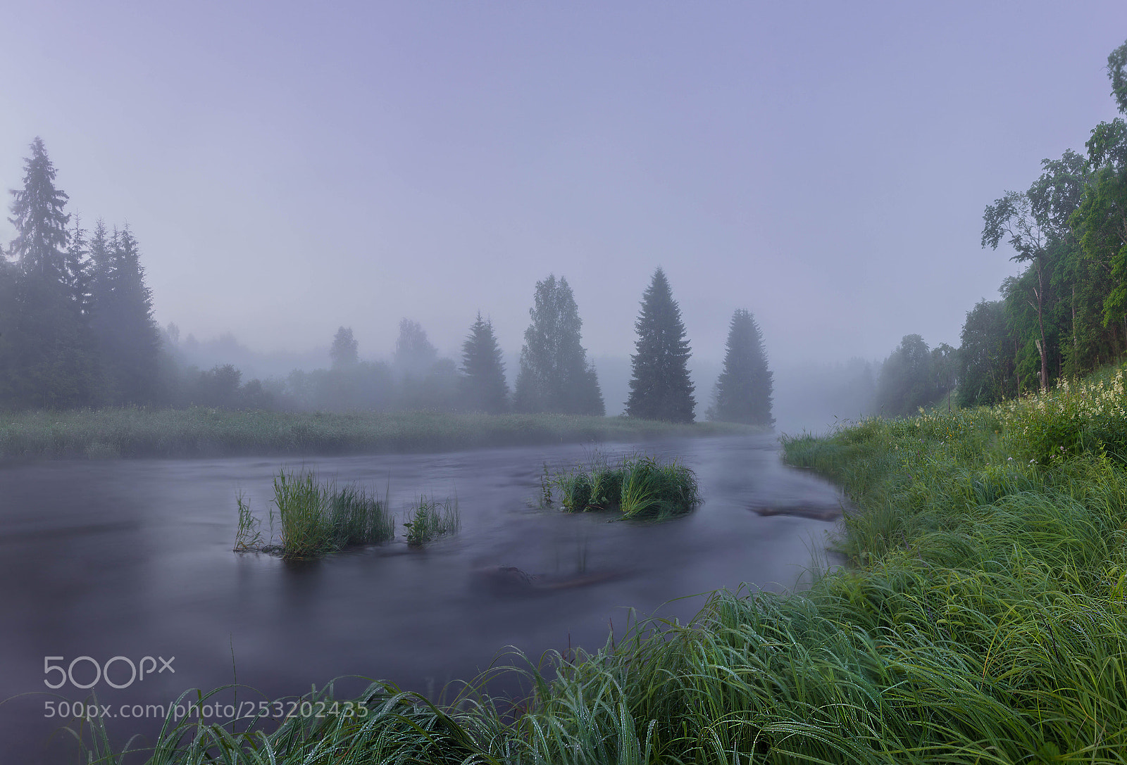 Canon EOS 60D sample photo. Foggy morning on the photography