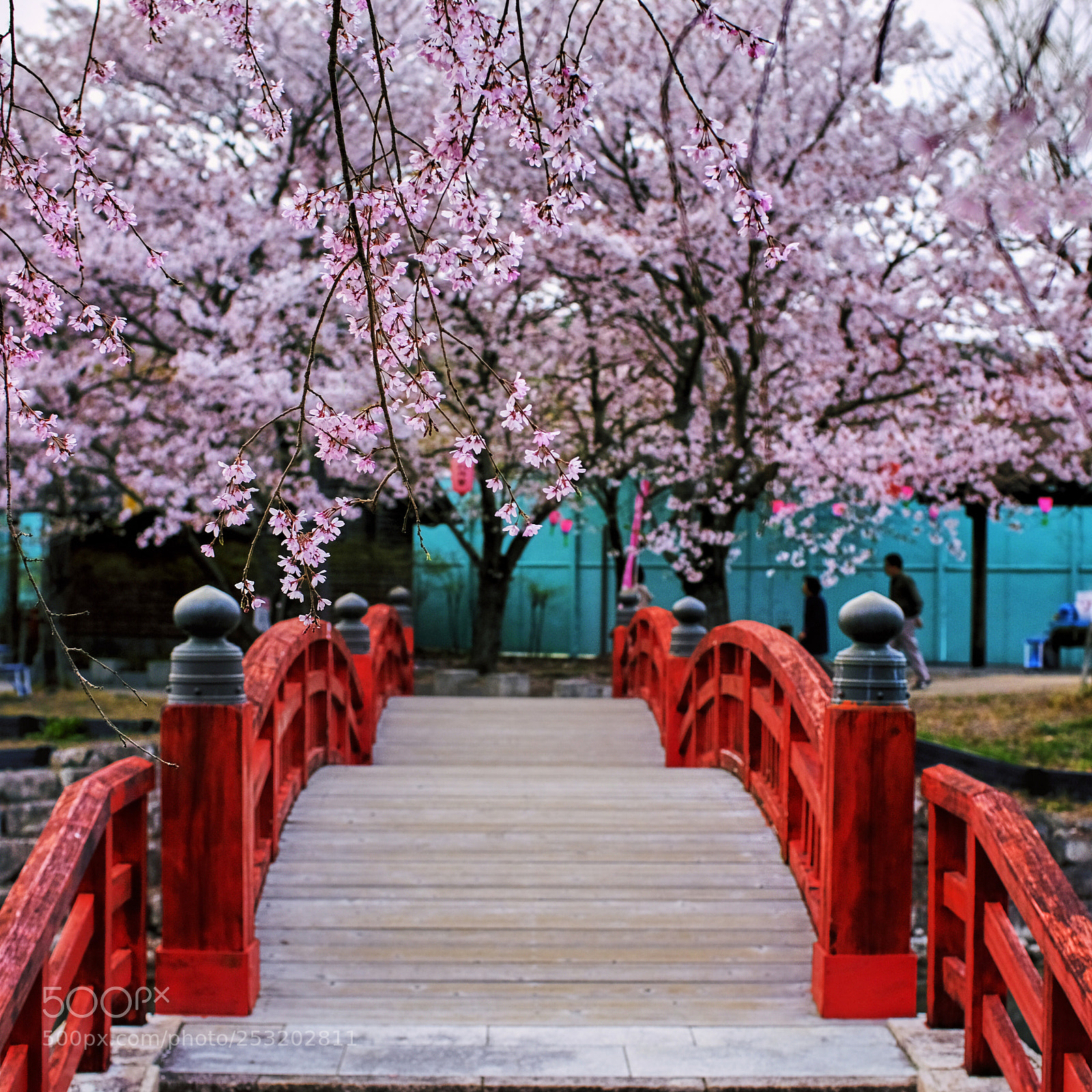 Fujifilm X-T2 sample photo. Iwawaki bridge photography