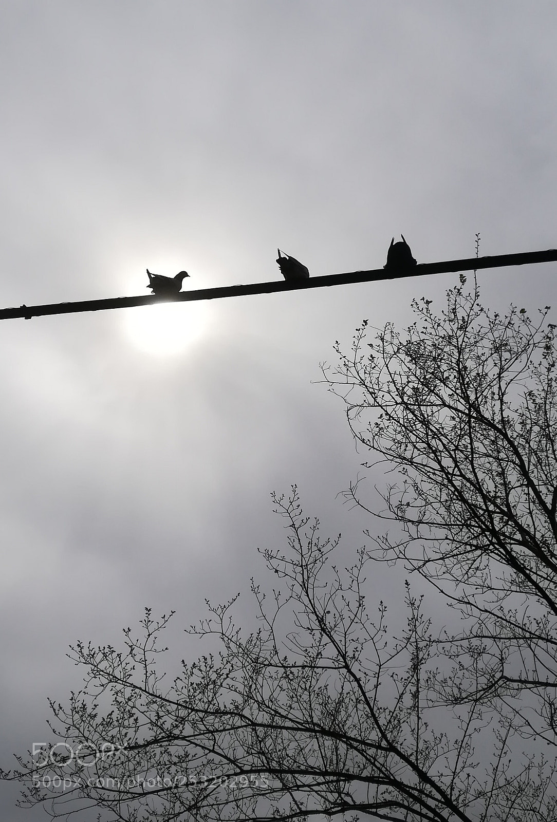 HUAWEI PRA-LX1 sample photo. Touched by the sun photography