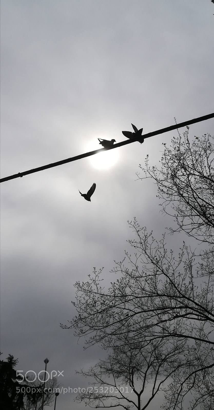 HUAWEI PRA-LX1 sample photo. Touched by the sun photography