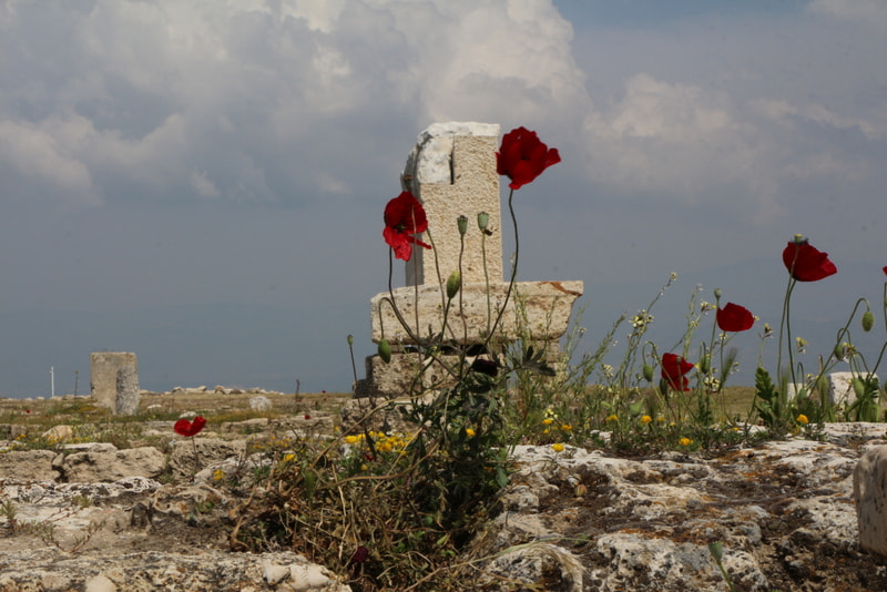 Canon EOS 650D (EOS Rebel T4i / EOS Kiss X6i) sample photo. Laodikyada bahar/denizli-turkey photography