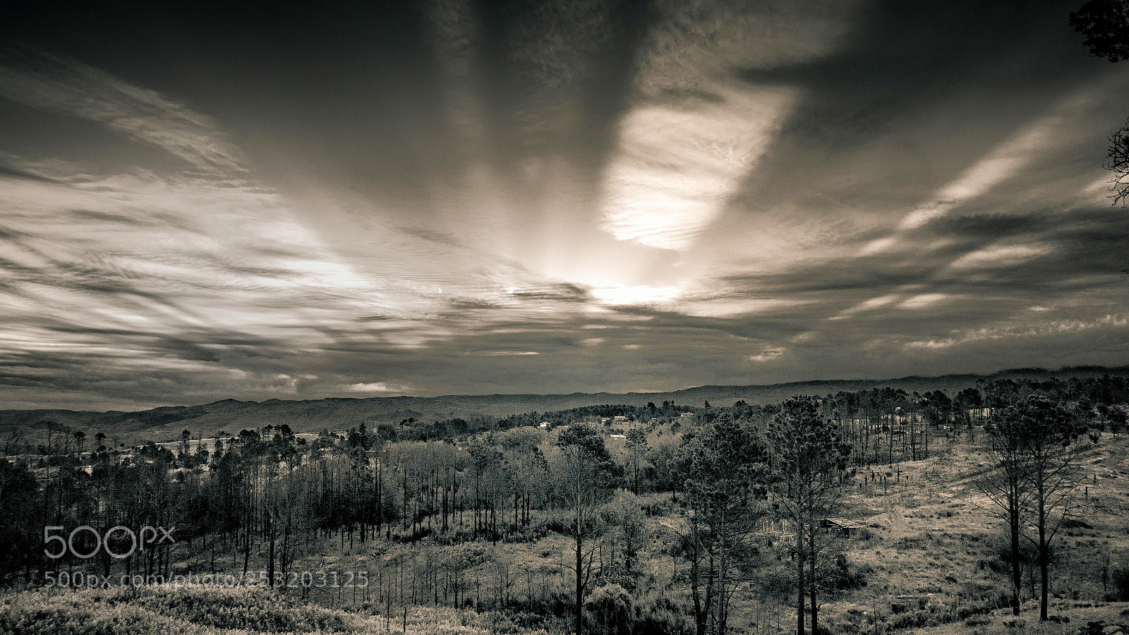 Sony Cyber-shot DSC-RX100 III sample photo. Atardecer en yacanto photography