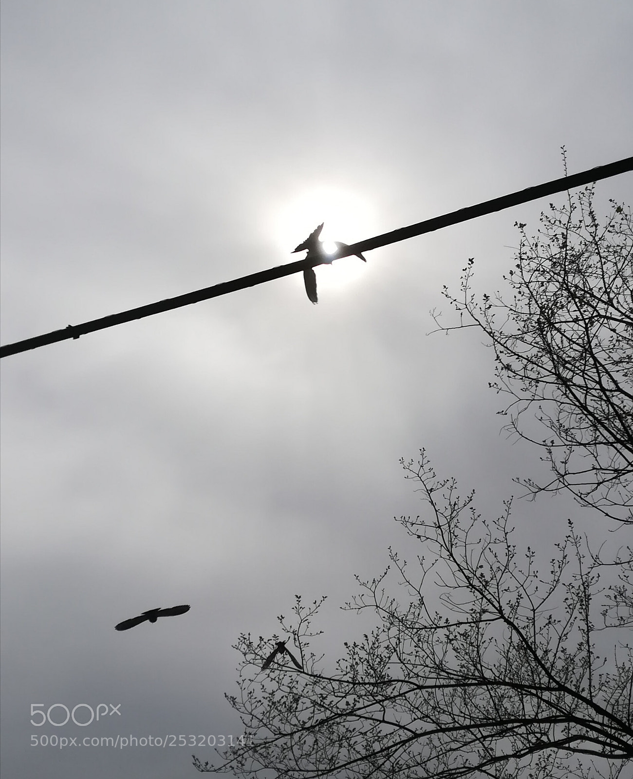 HUAWEI PRA-LX1 sample photo. Touched by the sun photography