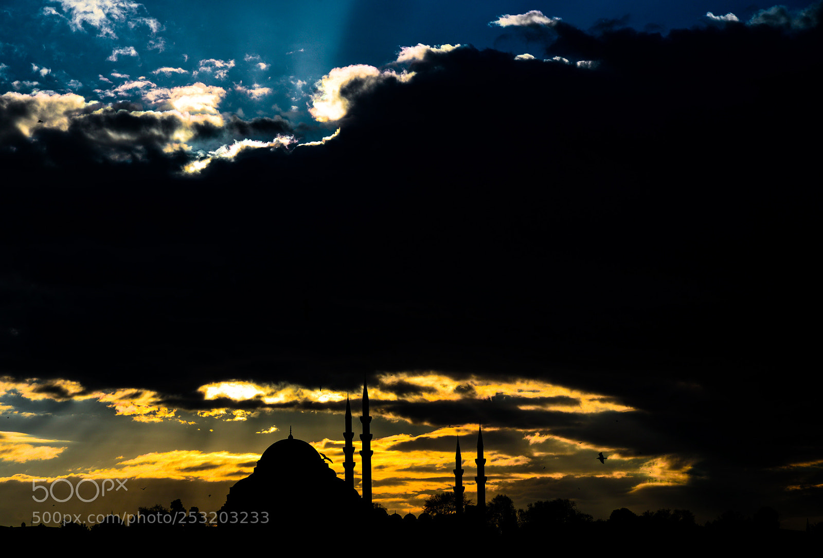 Nikon D610 sample photo. Golden hour and clouds photography