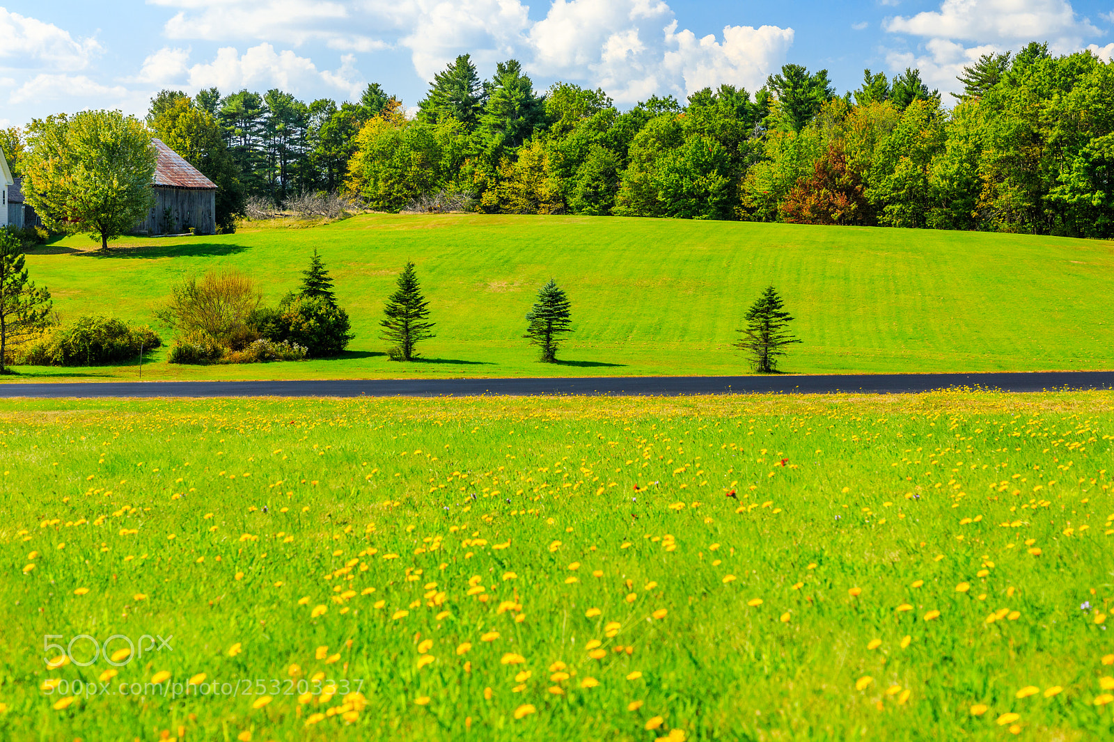Canon EOS 5D Mark IV sample photo. Nh-rindge photography