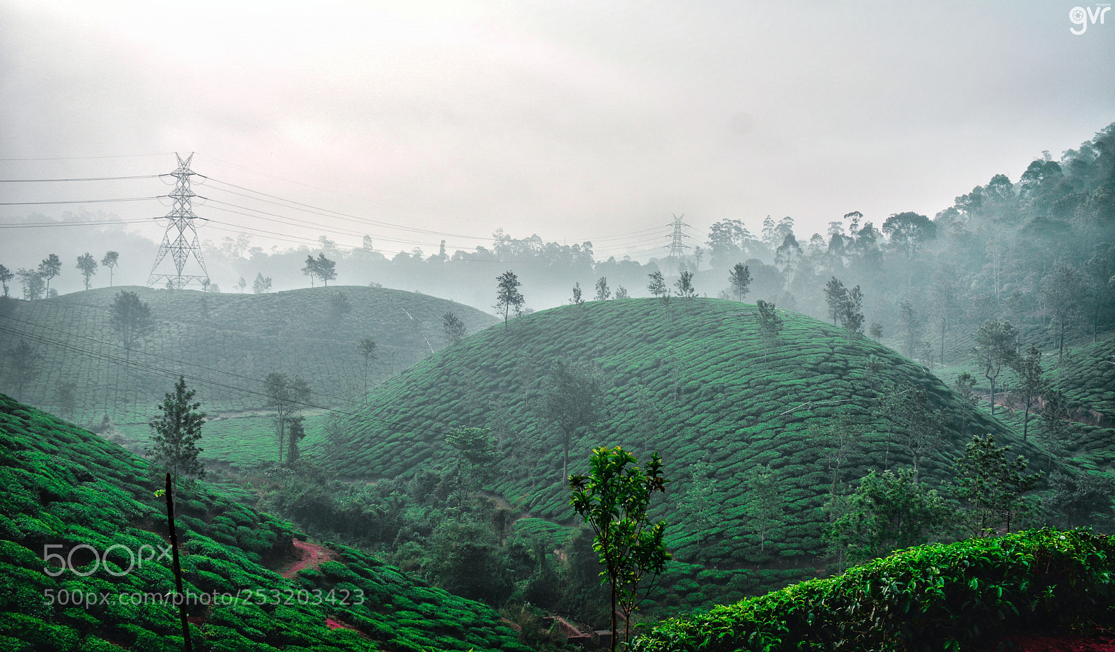 Nikon D5200 sample photo. Beautiful mornings at wayanad photography