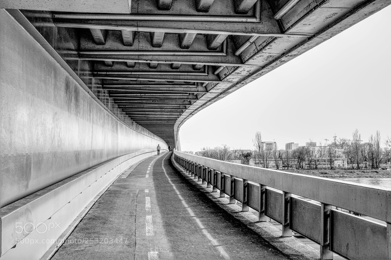 Fujifilm X-T20 sample photo. Untitled photography