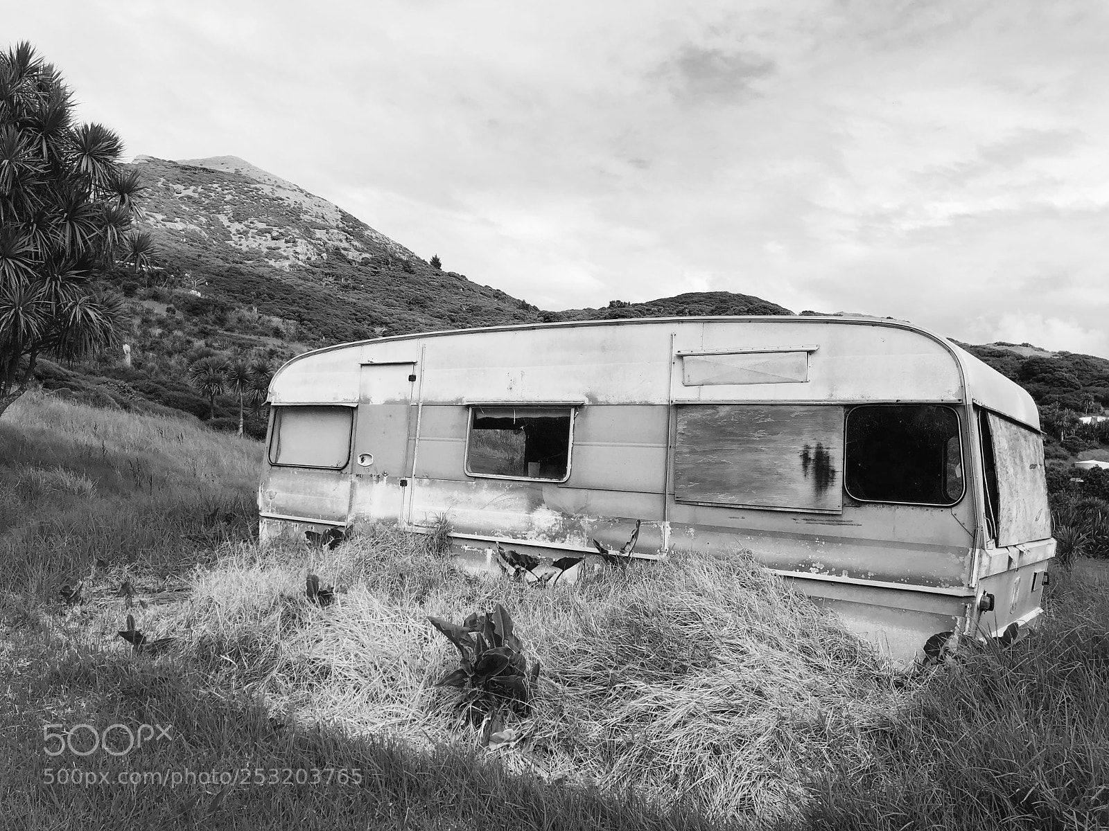 Apple iPhone X sample photo. Gone camping photography