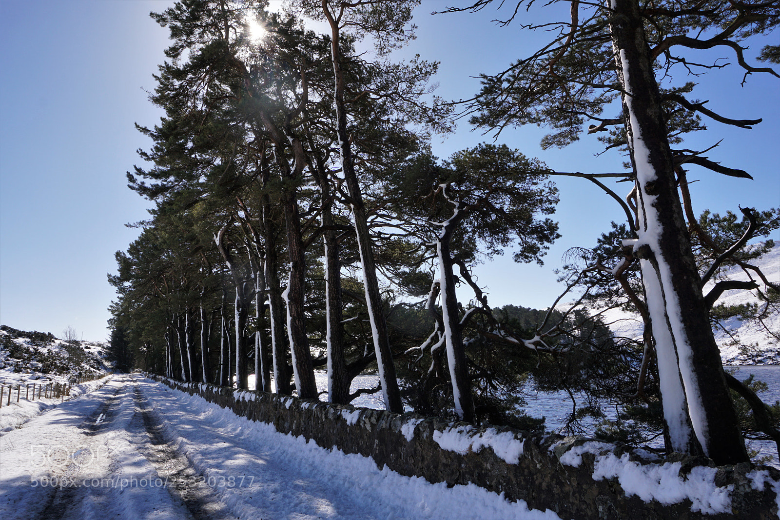 Sony E 16-50mm F3.5-5.6 PZ OSS sample photo. Glencorse reservoir photography