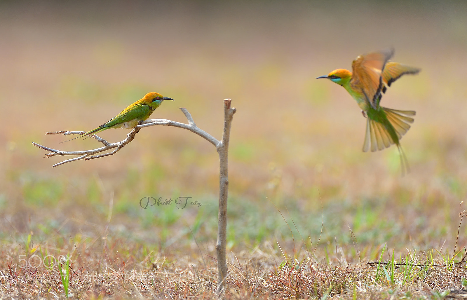 Nikon D4S sample photo. I'll be there for photography