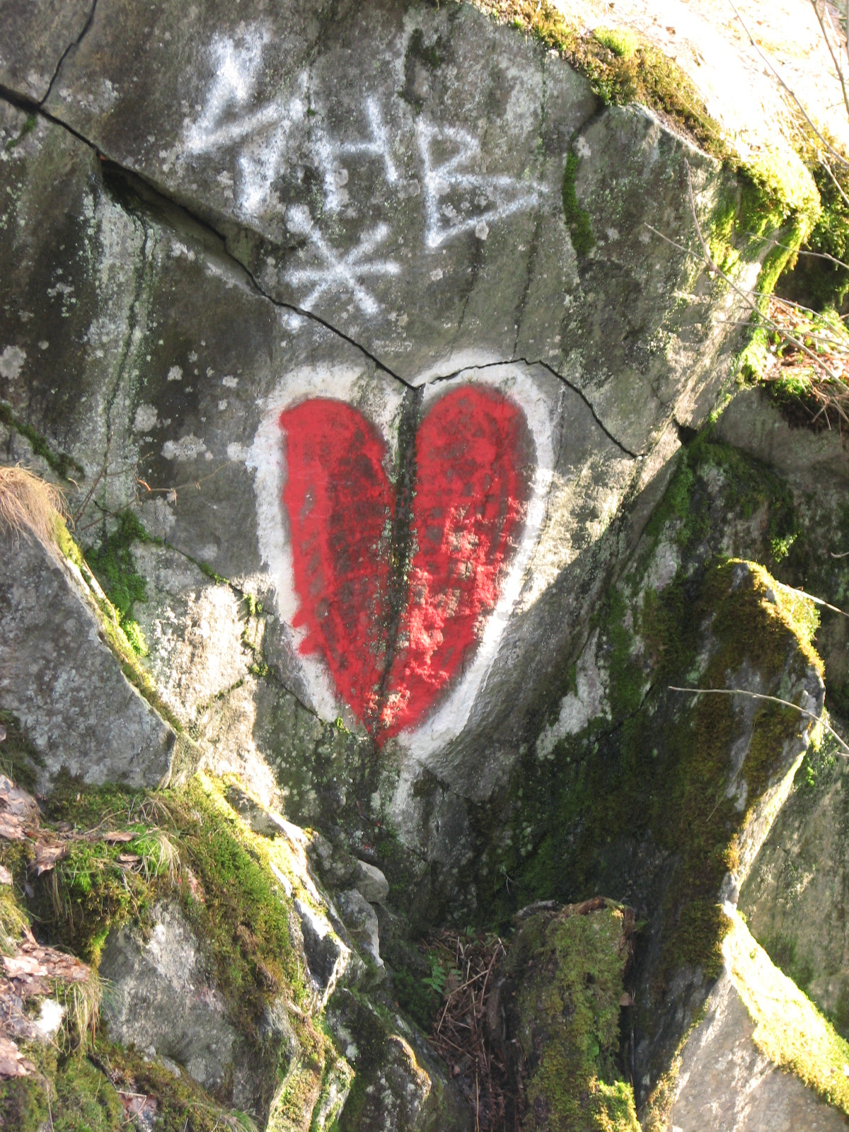 Canon POWERSHOT S3 IS sample photo. Broken heart photography