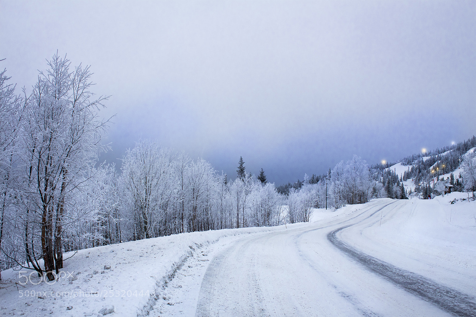 Canon EOS 700D (EOS Rebel T5i / EOS Kiss X7i) sample photo. Img photography