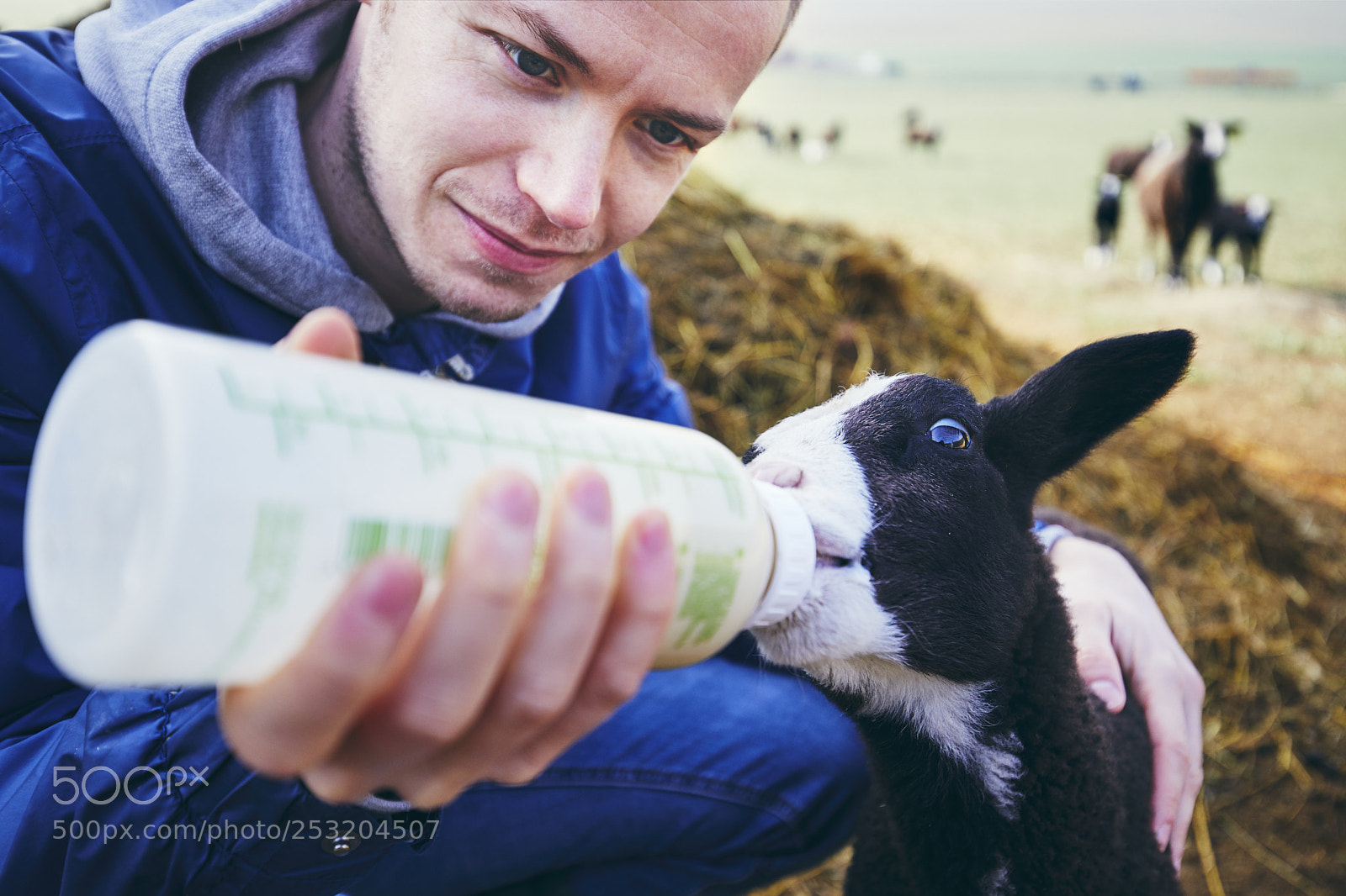 Canon EOS 5D Mark IV sample photo. Feeding little lamb photography