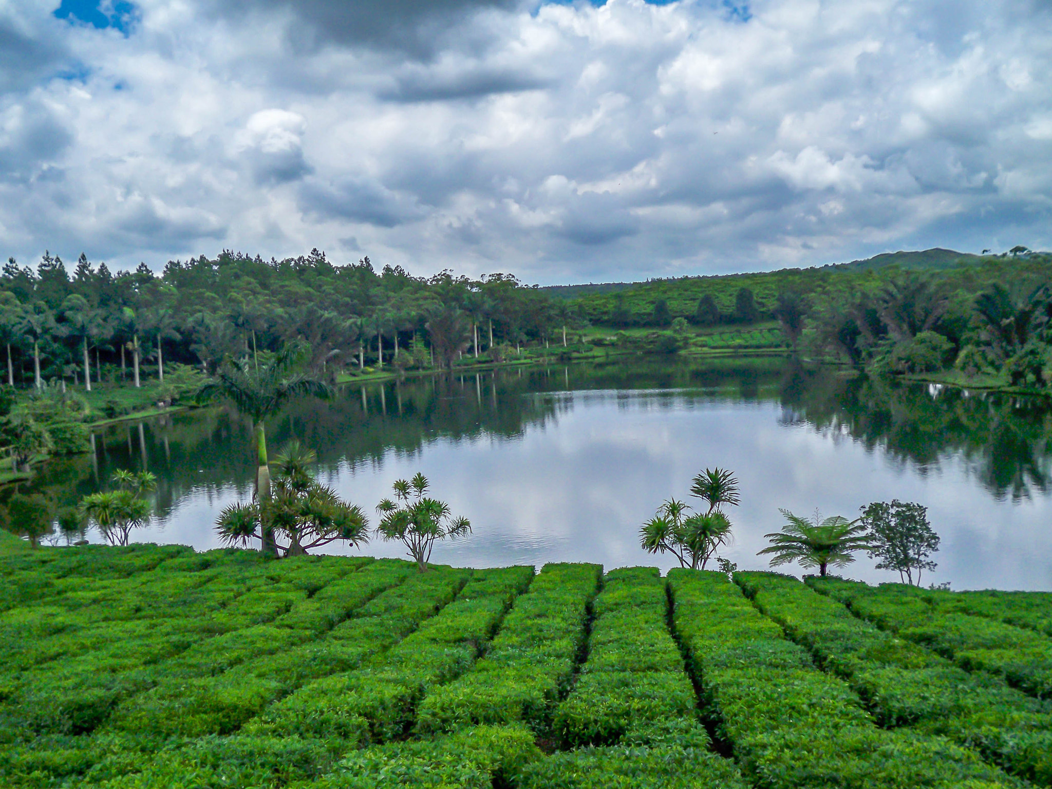 Kodak EASYSHARE M1093 IS DIGITAL CAMERA sample photo. Tea time photography