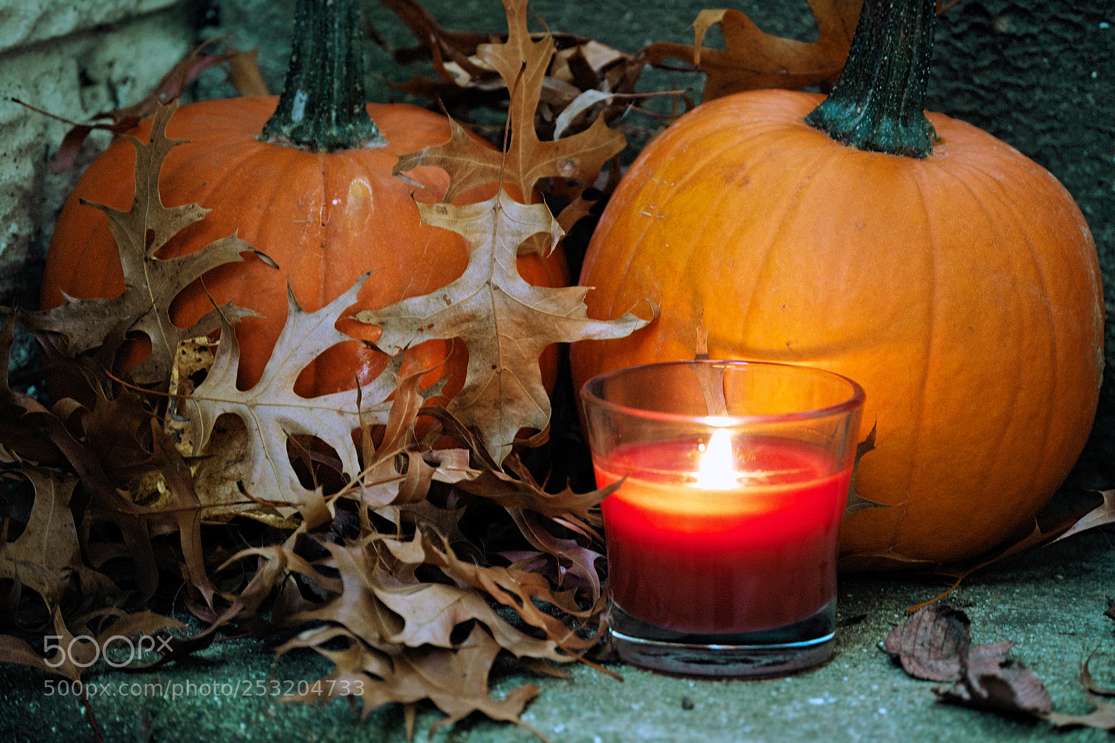 Nikon D3100 sample photo. Halloween photography