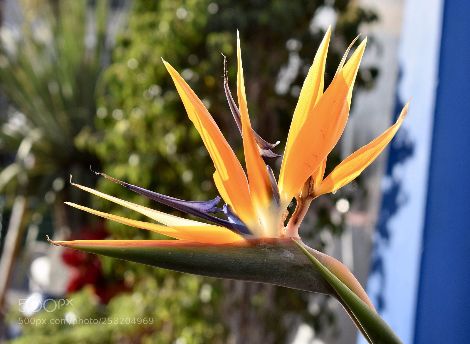 Nikon D3300 sample photo. Untitled photography