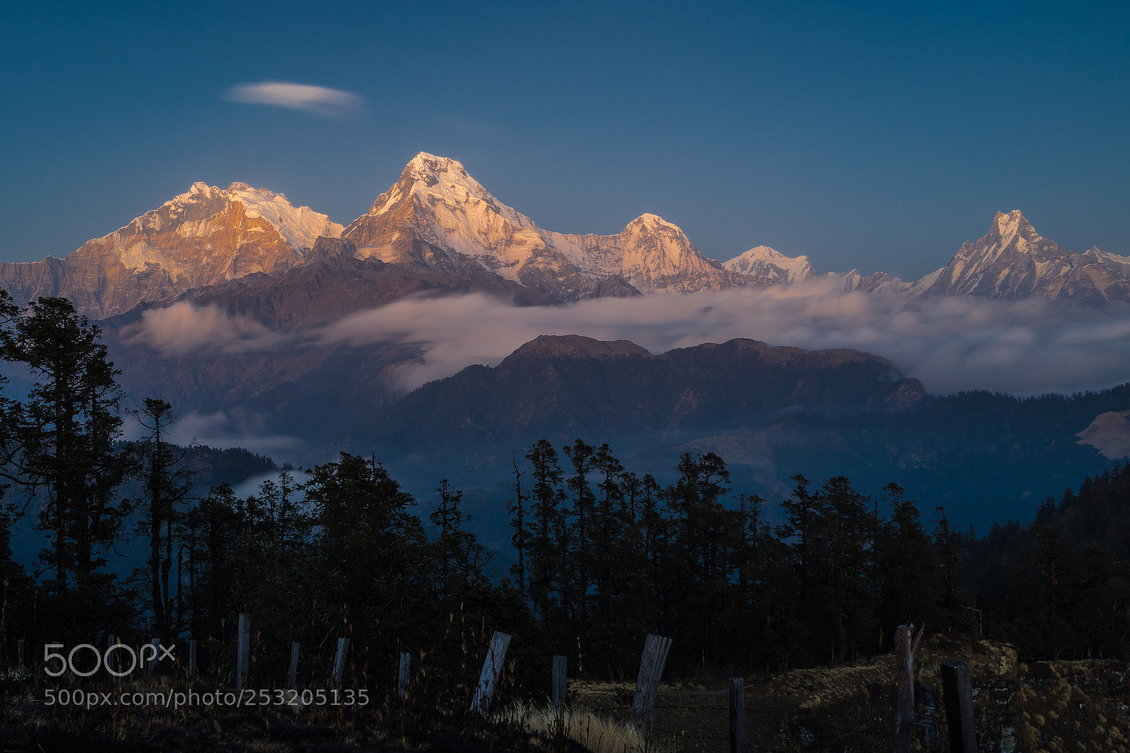 Sony Cyber-shot DSC-RX1 sample photo. View from mohare danda photography