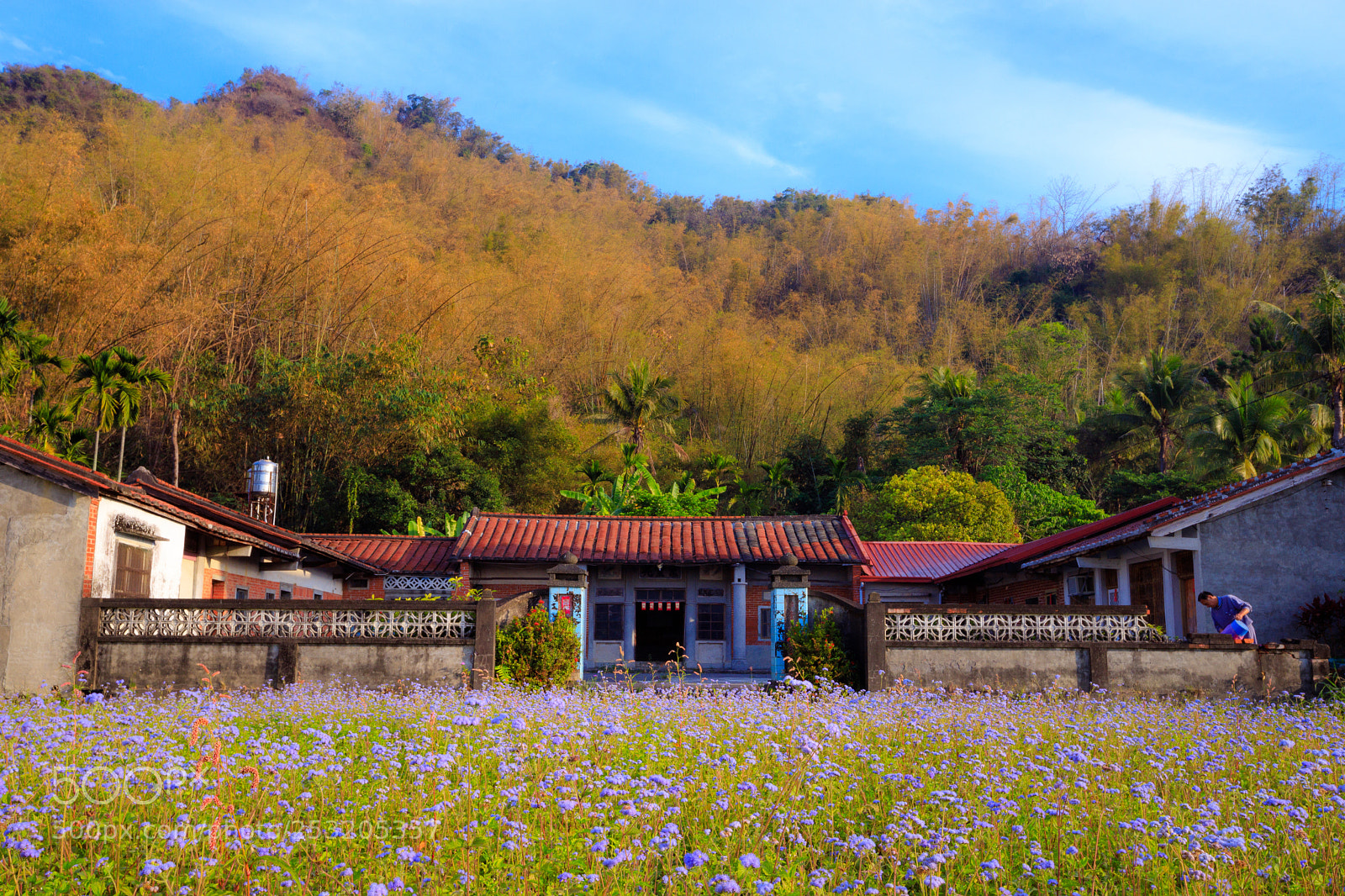 Canon EOS 6D Mark II sample photo. Untitled photography