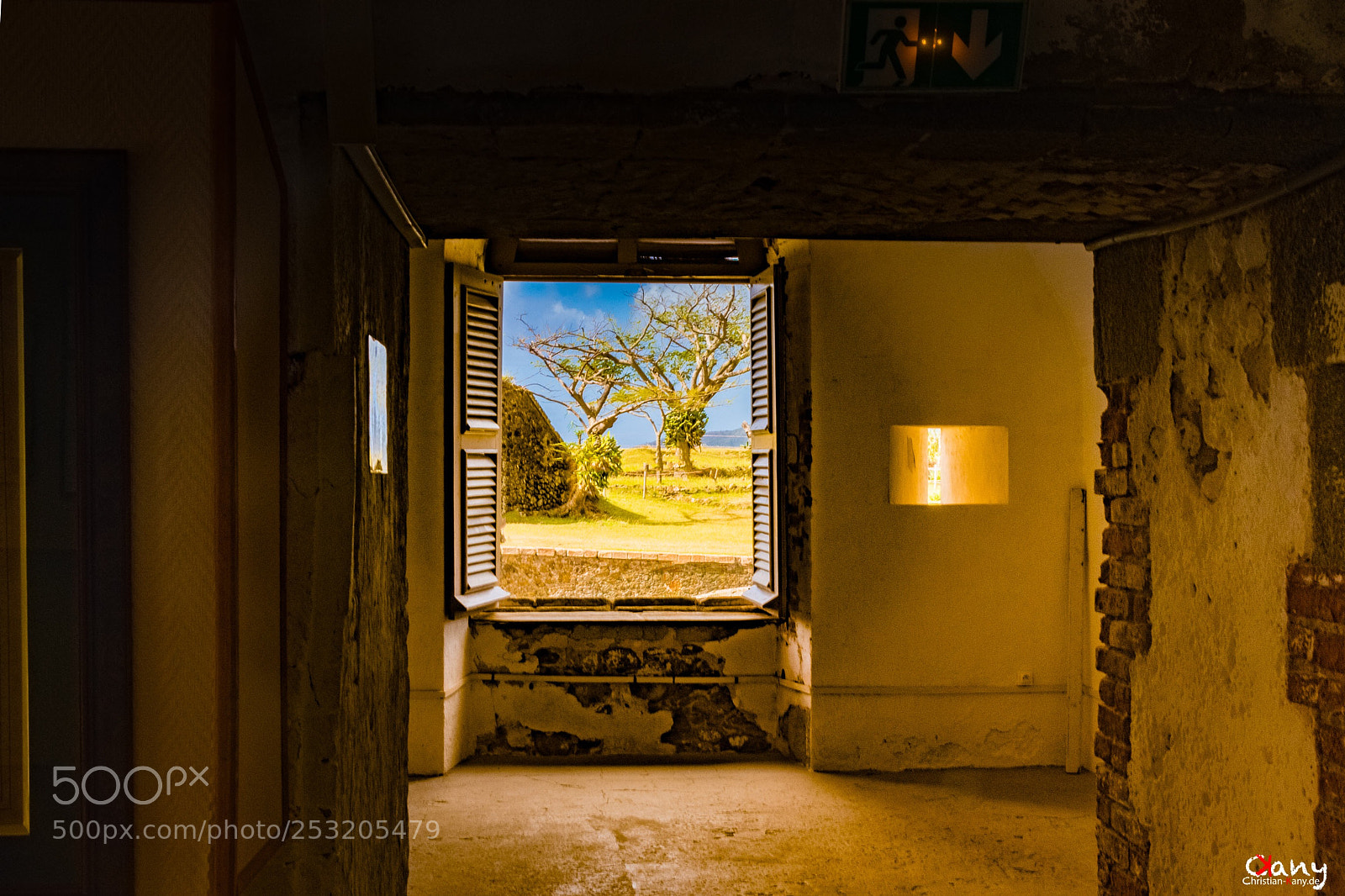 Nikon D7500 sample photo. Open the window photography
