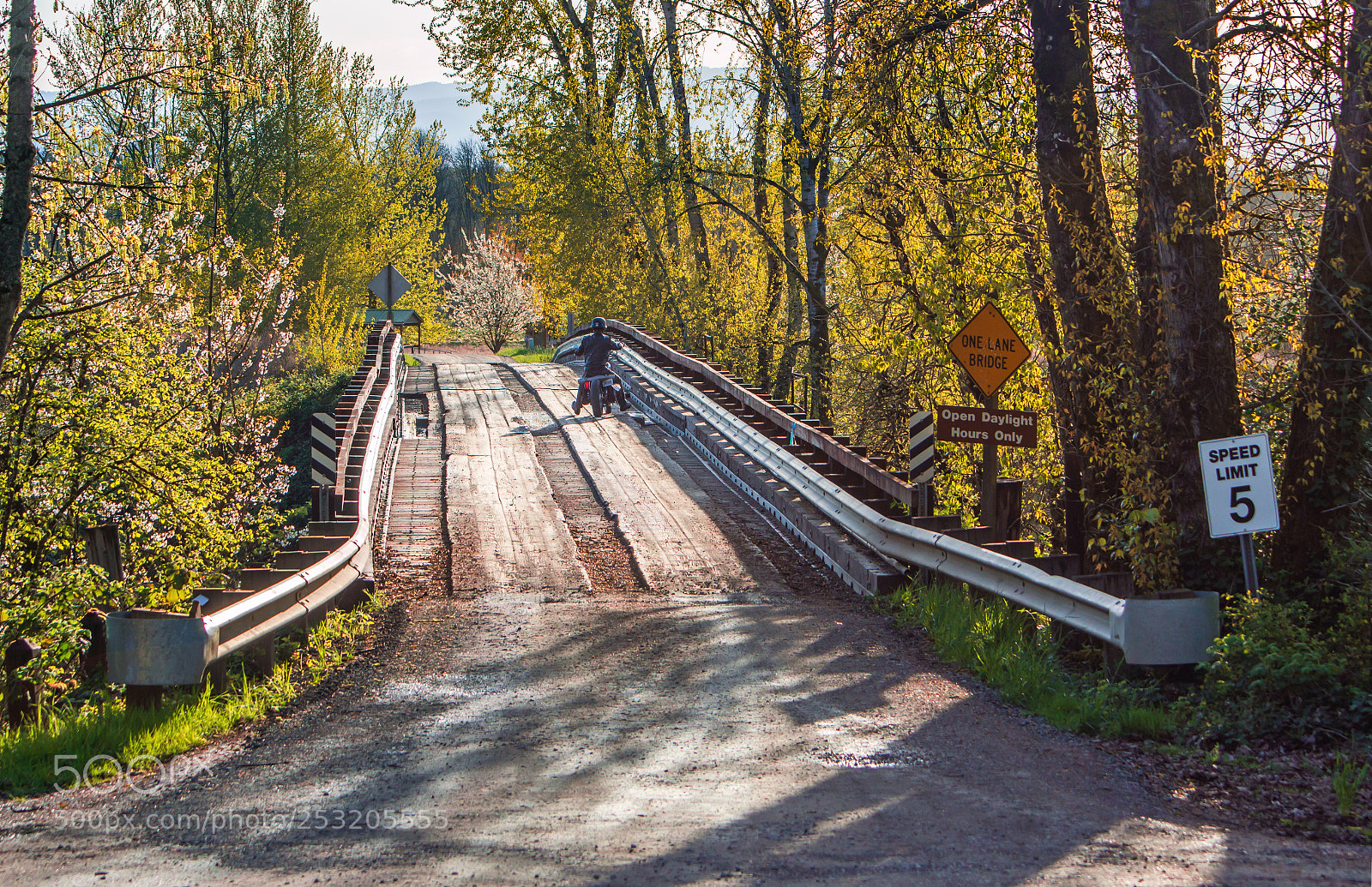Sony SLT-A77 sample photo. Rural crossing photography