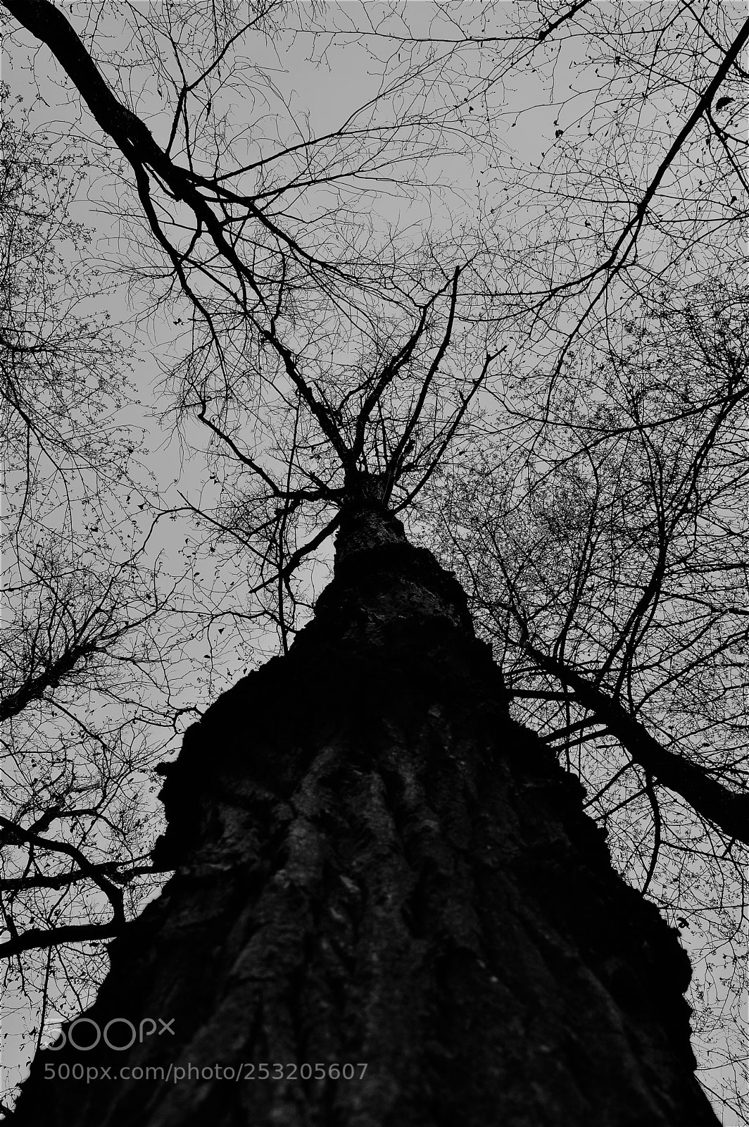 Nikon D3200 sample photo. Untitled photography