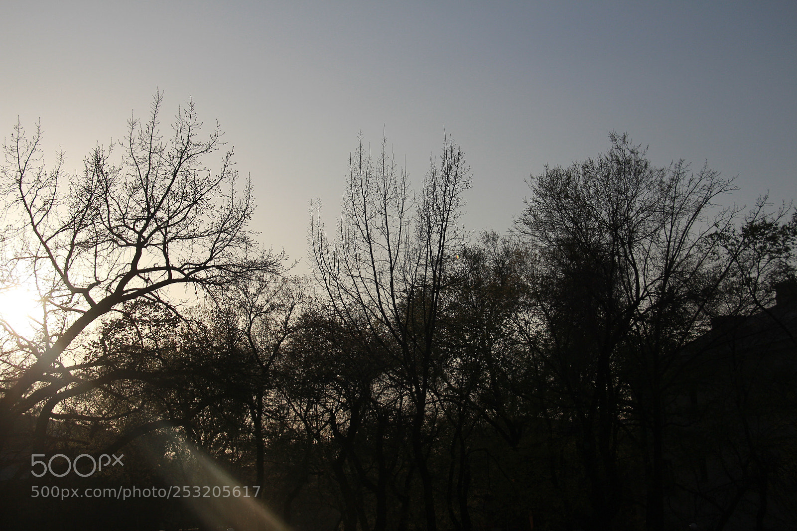 Canon EOS 700D (EOS Rebel T5i / EOS Kiss X7i) sample photo. Untitled photography