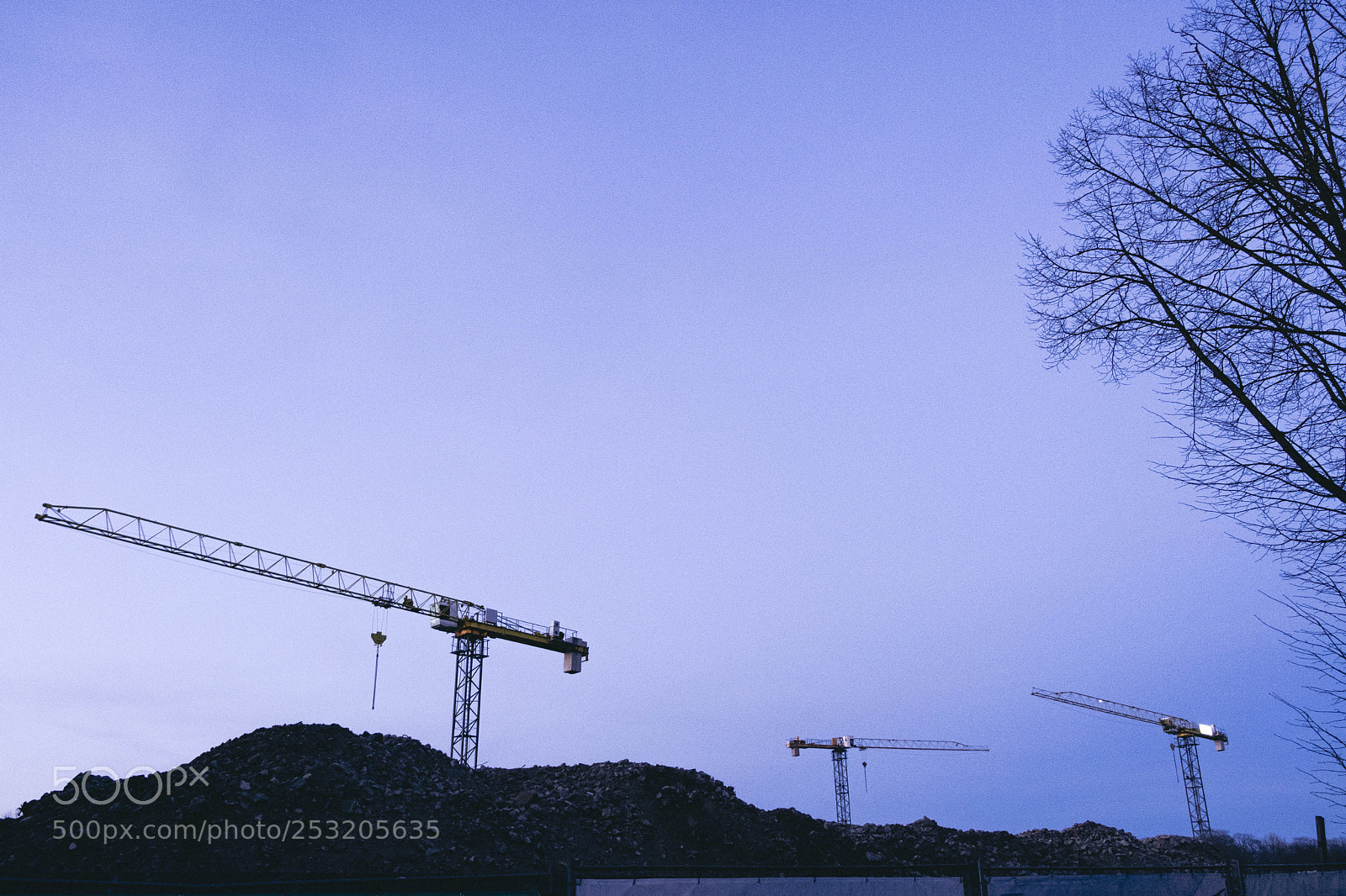 Fujifilm X-T20 sample photo. Cranes photography